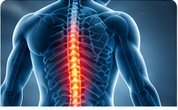 Spine and posture rehabilitation